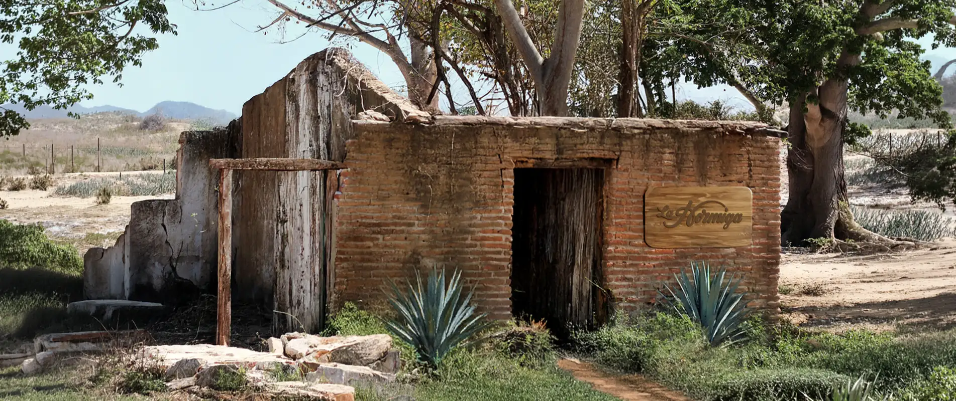Proceso artesanal del mezcal de Mazatlán